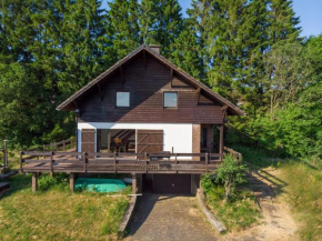Typical Ardennes chalet with hot tub